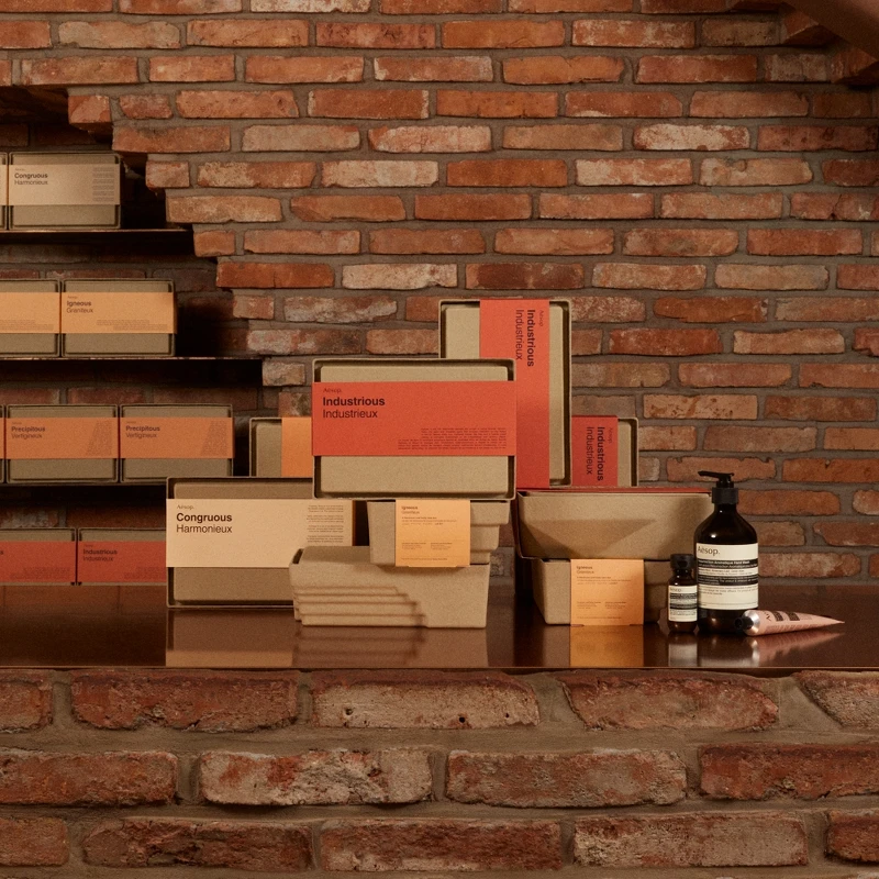 Aesop 2022年度禮盒磚瓦綠洲情境圖。