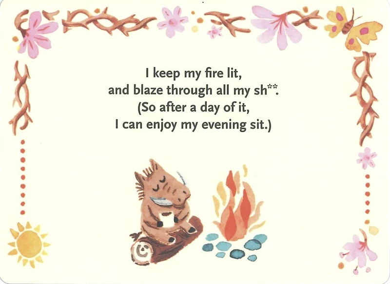 (Image and excerpt from Affirmators! Morning Mantras courtesy of © Knock Knock LLC)