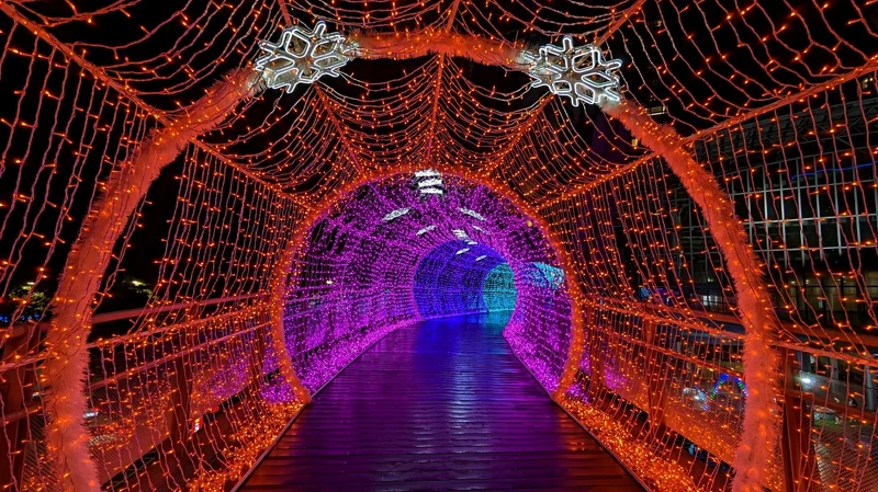 此圖用Google Pixel 7拍攝 此圖用Google Pixel 7拍攝