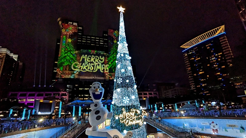 此圖用Google Pixel 7拍攝 此圖用Google Pixel 7拍攝