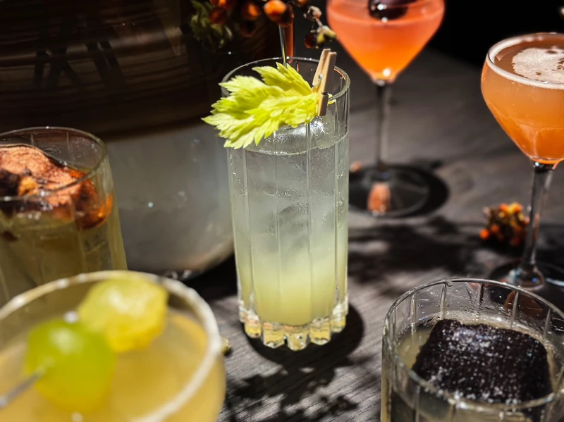 禁止酒駕,未滿18歲請勿飲酒 禁止酒駕,未滿18歲請勿飲酒