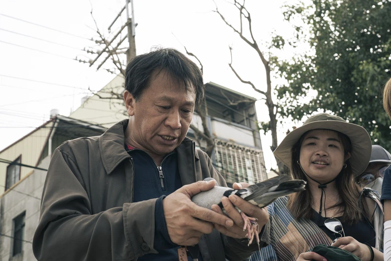 《一家子兒咕咕叫》游安順與鴿子培養感情