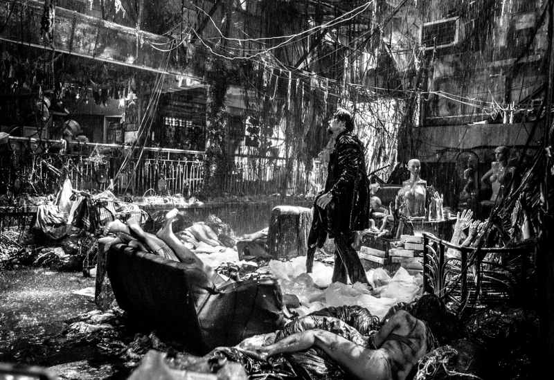 《智齒》林家棟