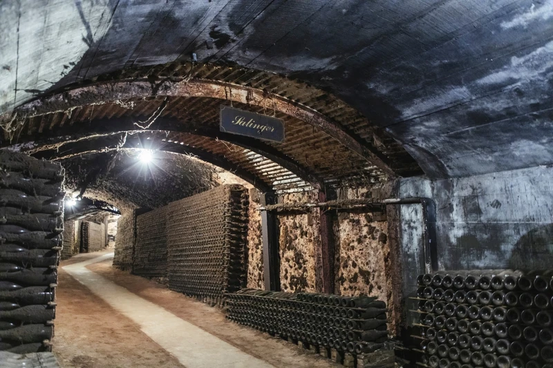 酒窖 The Drives 總長達3公里。 酒窖 The Drives 總長達3公里。