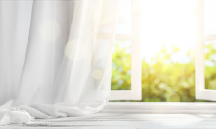 圖片來源/Shutterstock 圖片來源/Shutterstock