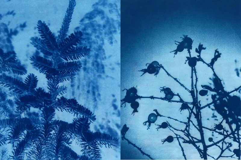 (左)L:A BRUKET 2022聖誕限量經典身體保養組(雲杉)藍晒圖、(右)明星唇部護理組藍晒圖。