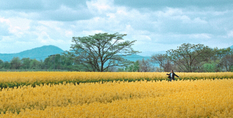 《First Love 初戀》美景盡收眼底 《First Love 初戀》美景盡收眼底