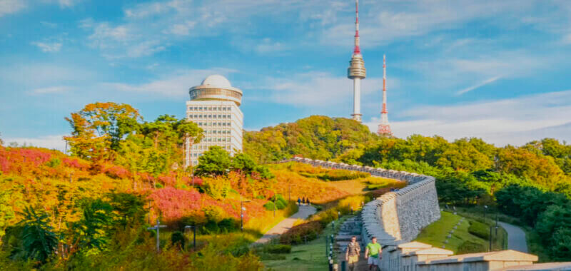 圖/首爾南山公園官方網站 圖/首爾南山公園官方網站
