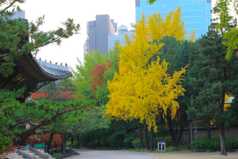 圖/德壽宮官方Instergram 圖/德壽宮官方Instergram