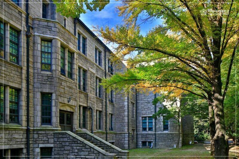 圖/梨花女子大學官方臉書 圖/梨花女子大學官方臉書