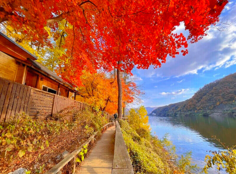 圖/南怡島官方Instergram 圖/南怡島官方Instergram