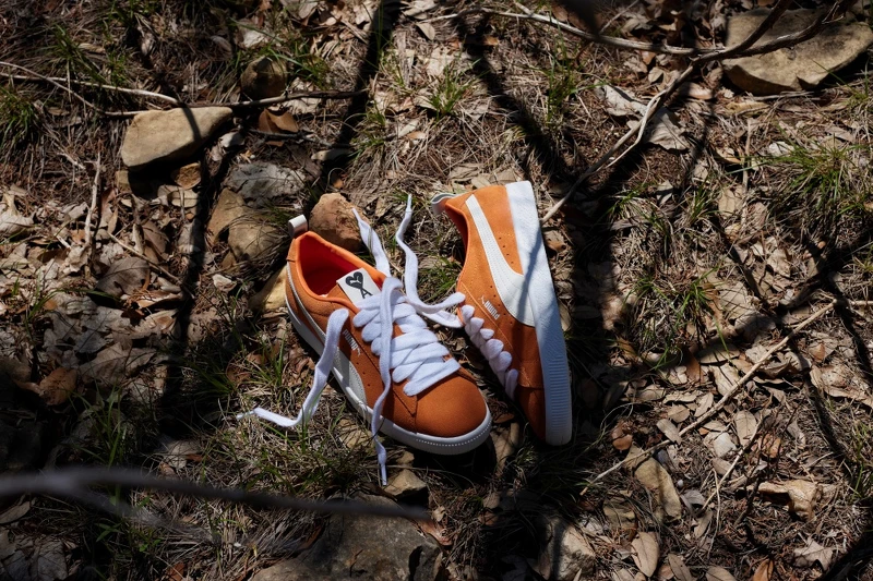 Suede VTG AMI，$4,580