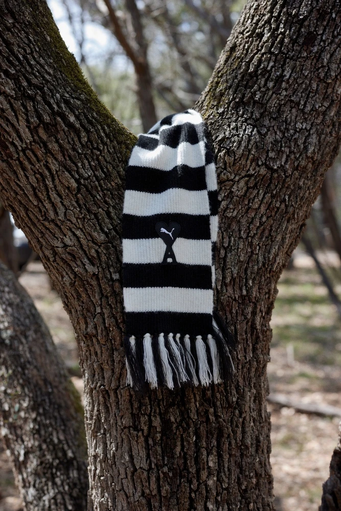 AMI系列圍巾，$1,880