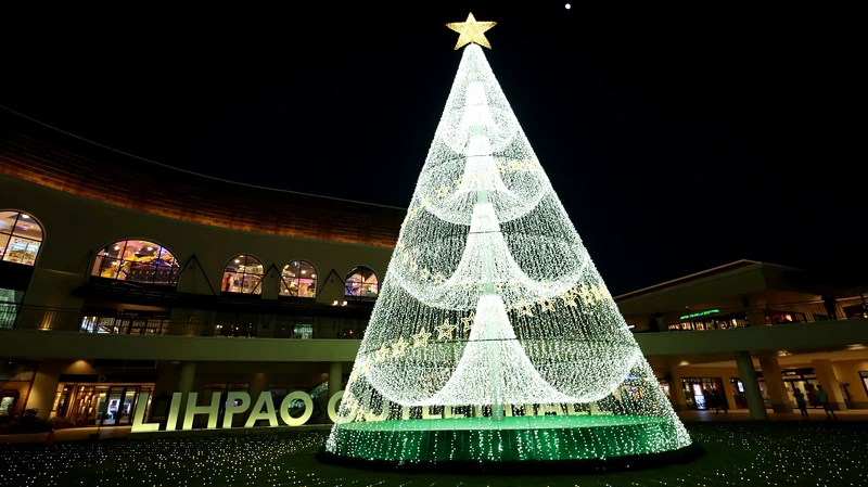 高達15公尺的「米娜瓦之樹」