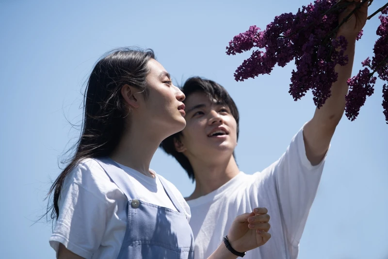 Netflix日劇《First Love初戀》出現許多紫丁香畫面(Photo/Netflix)。