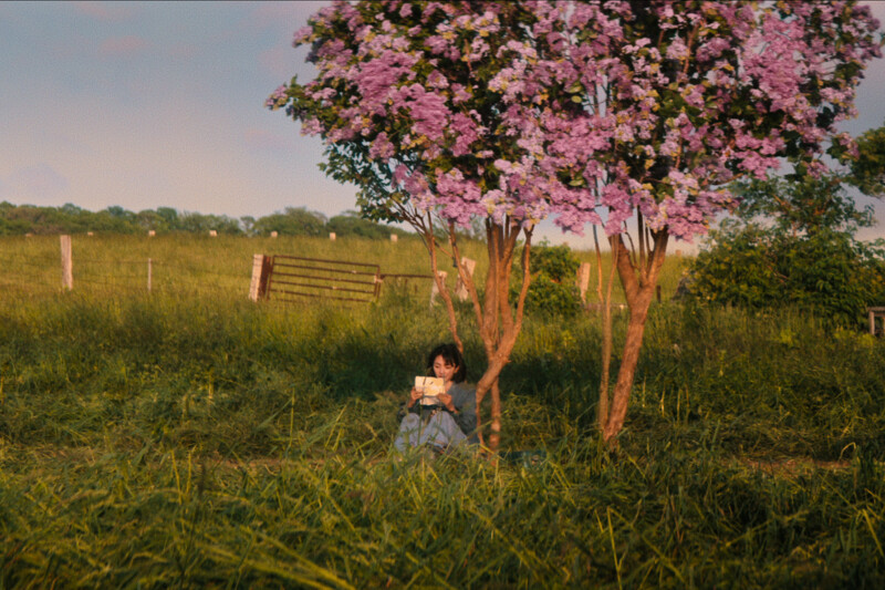 Netflix日劇《First Love初戀》出現許多紫丁香畫面(Photo/Netflix)。