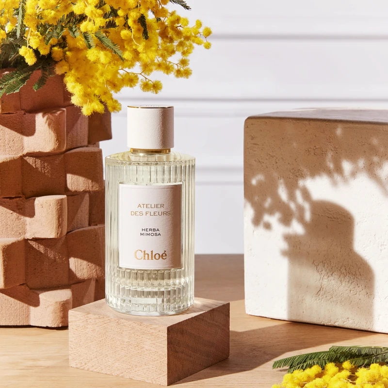 Chloé Atelier des Fleurs仙境花園香水含羞草之語(含羞草)Herba Mimosa 50ml,NT5,000、150ml,NT8,900 Chloé Atelier des Fleurs仙境花園香水含羞草之語(含羞草)Herba Mimosa 50ml,NT5,000、150ml,NT8,900