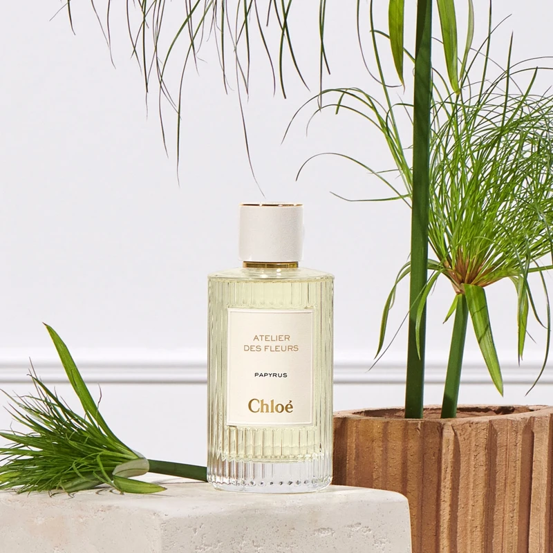 Chloé Atelier des Fleurs仙境花園香水中性紙莎草(纸莎草秘境)Papyrus 50ml,NT5,000、150ml,NT8,900 Chloé Atelier des Fleurs仙境花園香水中性紙莎草(纸莎草秘境)Papyrus 50ml,NT5,000、150ml,NT8,900