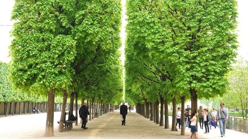 皇家宮殿與花園Palais Royal & Jardin du Palais Roya 皇家宮殿與花園Palais Royal & Jardin du Palais Roya