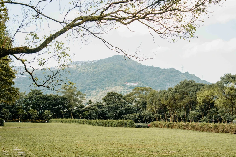 新北市新店文山農場