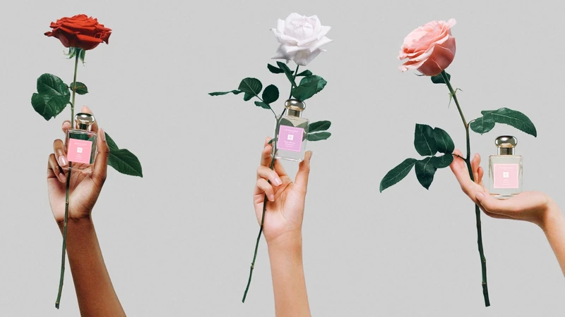 Jo Malone London 2023玫瑰花語系列全新限量浪漫登場。 Jo Malone London 2023玫瑰花語系列全新限量浪漫登場。