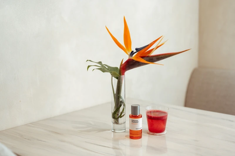 Maison Crivelli X Curious Table紅磨坊 Moulin Rouge。 Maison Crivelli X Curious Table紅磨坊 Moulin Rouge。