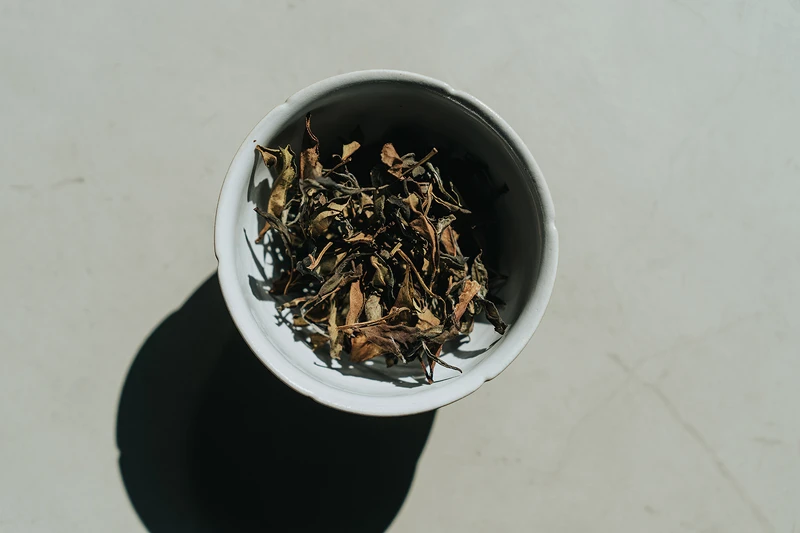 每季的毛茶都記錄了當下的日光、風、雨水各種微妙變化。