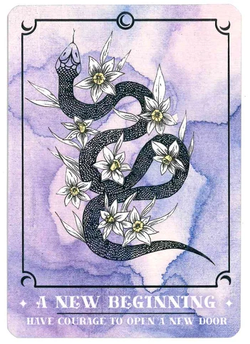 (Cosmic Guidance Oracle Deck by Annie Tarasova)