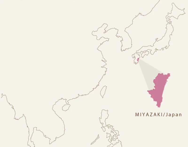 宮崎縣位置。 宮崎縣位置。