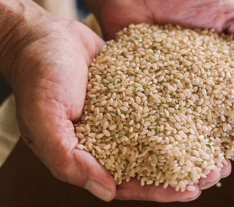 宮崎縣新富町的宮本米。 宮崎縣新富町的宮本米。