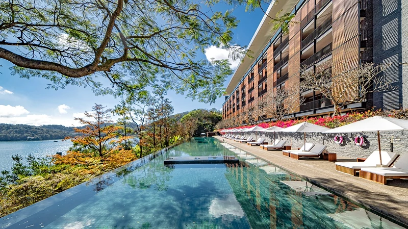 無邊際泳池旁九重葛花海正綻放