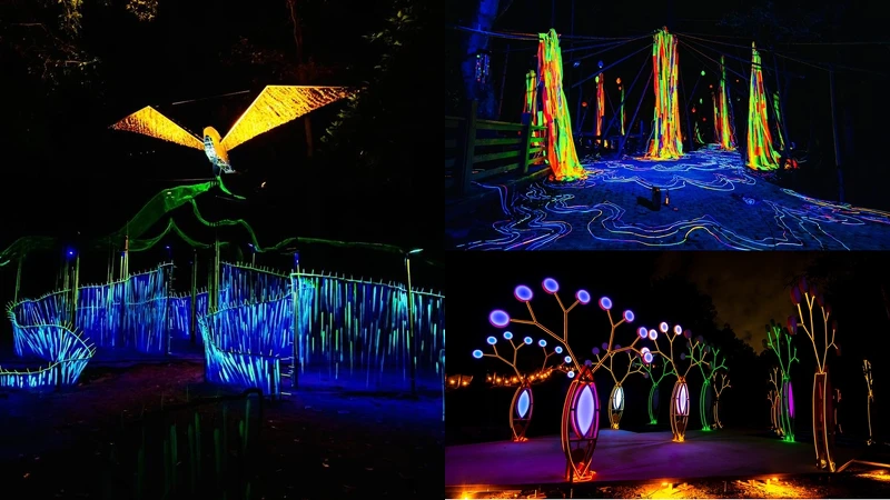 龍崎光節空山祭作品 龍崎光節空山祭作品