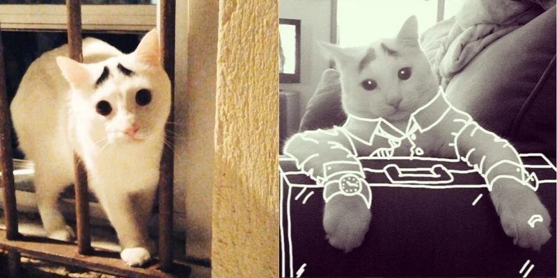 Photo/ instagram.com/samhaseyebrows Photo/ instagram.com/samhaseyebrows