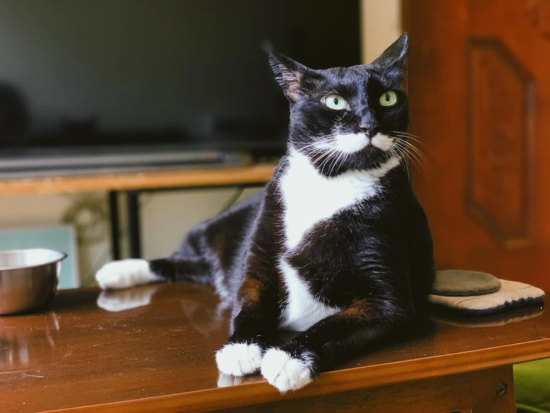 Photo/facebook.com/mustachiolapu Photo/facebook.com/mustachiolapu