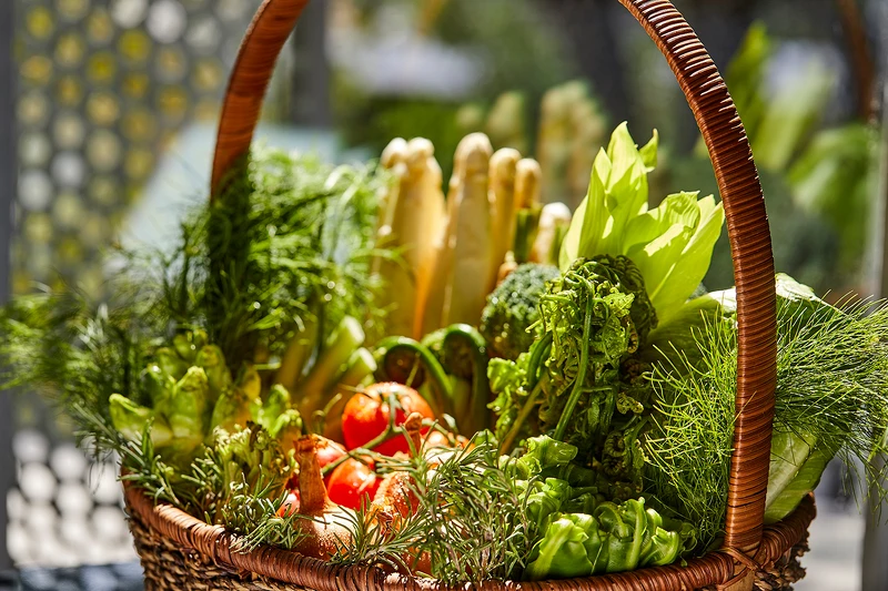 此次使用大量當季新鮮食材。 此次使用大量當季新鮮食材。