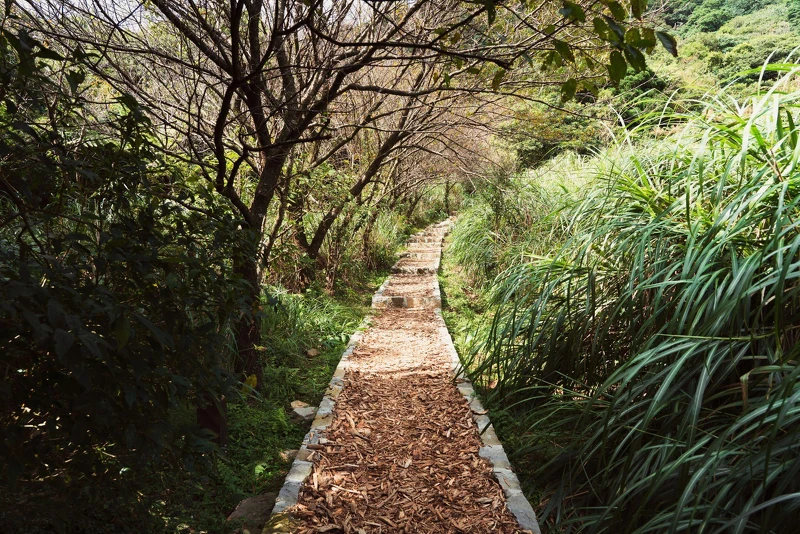 臺北大縱走第二段:水尾巴拉卡步道是一條以人為本,且兼具生態及環保的步道,值得細細品嘗。 臺北大縱走第二段:水尾巴拉卡步道是一條以人為本,且兼具生態及環保的步道,值得細細品嘗。