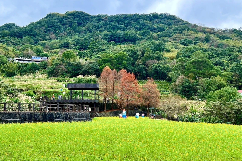 臺北大縱走第七段:樟樹步道。 臺北大縱走第七段:樟樹步道。