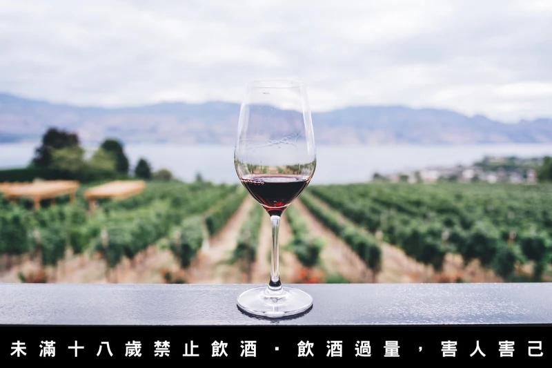 法國 Burgundy、義大利 Barolo 產區的葡萄酒多數具花香。