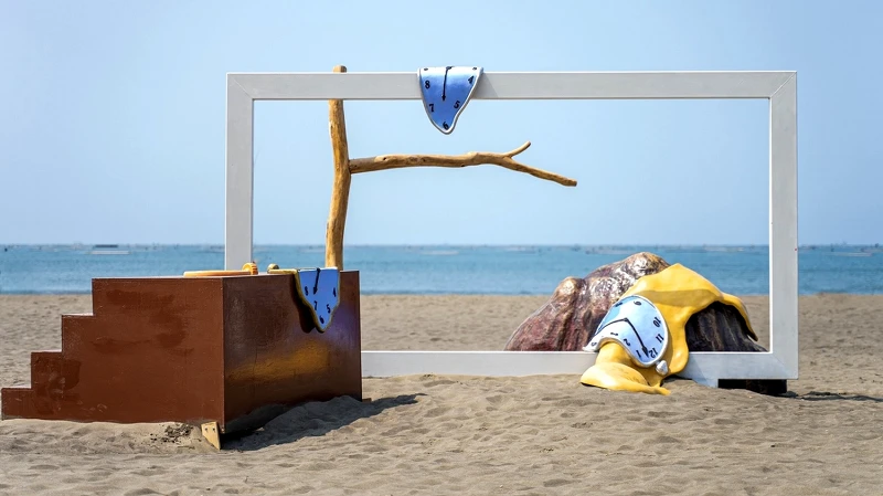 《挪用記憶的永恆》