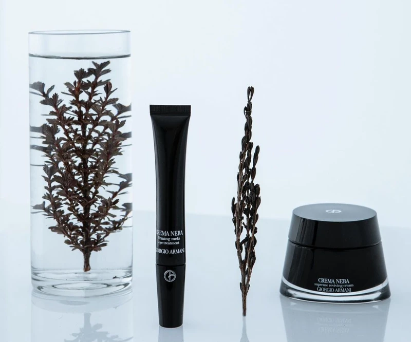 NEW【黑曜岩新生奇蹟高效眼活萃】20ml / NT$7,200 、【黑曜岩新生奇蹟乳霜】30ml/ NT$9,500 、50ml / NT$15,800 (圖片出處: https://www.instagram.com/p/CpU7lqrv7oE/) NEW【黑曜岩新生奇蹟高效眼活萃】20ml / NT$7,200 、【黑曜岩新生奇蹟乳霜】30ml/ NT$9,500 、50ml / NT$15,800 (圖片出處: https://www.instagram.com/p/CpU7lqrv7oE/)