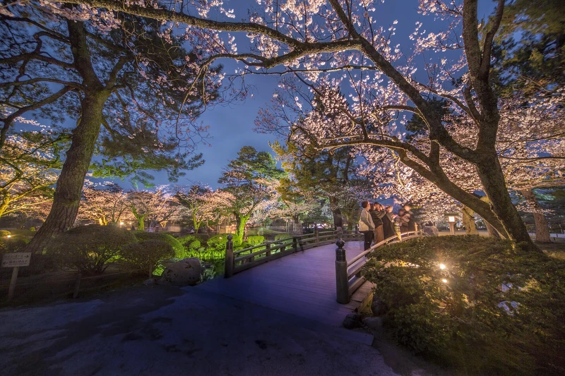 兼六園夜間點燈