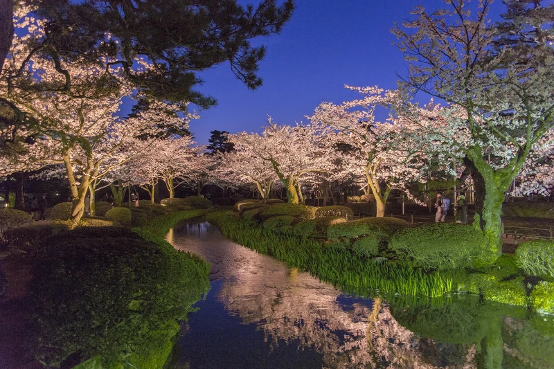 兼六園夜間點燈