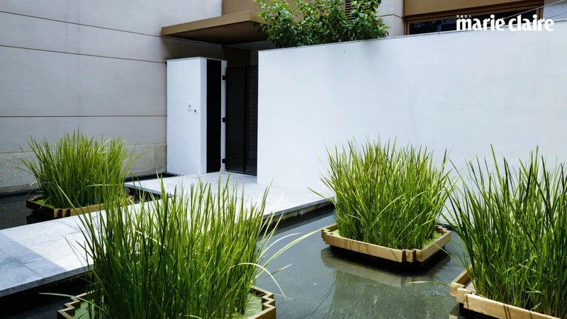 河畔別墅有獨立出入口 河畔別墅有獨立出入口