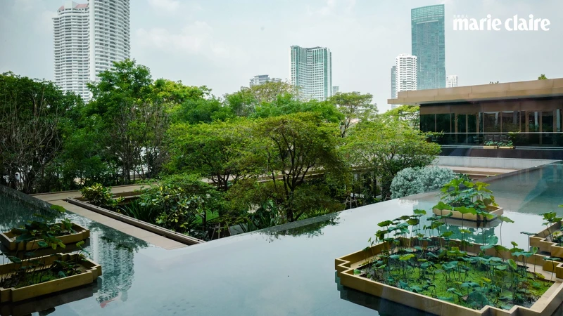 曼谷嘉佩樂酒店戶外空間 曼谷嘉佩樂酒店戶外空間