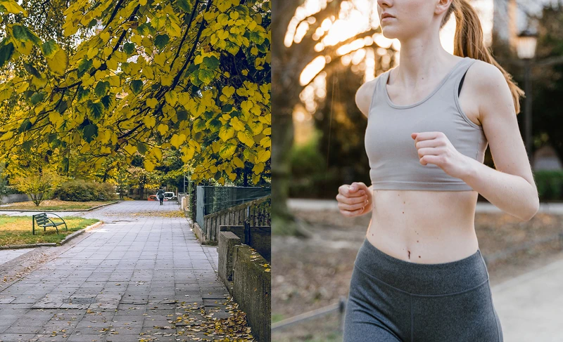 Photo/Wenzday溫暖過日子 Photo/Wenzday溫暖過日子