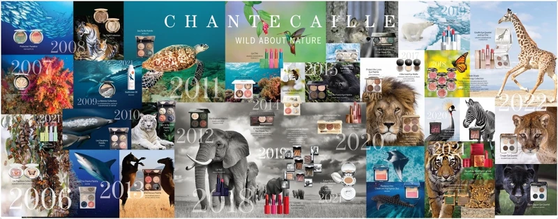 香緹卡2006年~2022年歷年限量慈善彩妝年曆。