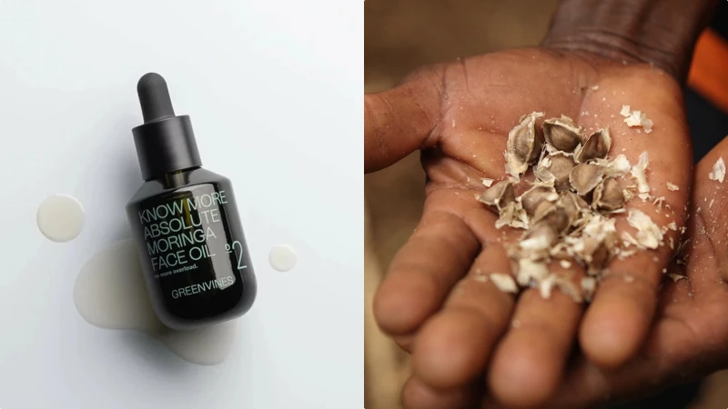 綠藤生機「奇蹟辣木油」加速深化西非永續生態圈,幫助超過7,000個迦納小農家庭提升收入。 綠藤生機「奇蹟辣木油」加速深化西非永續生態圈,幫助超過7,000個迦納小農家庭提升收入。