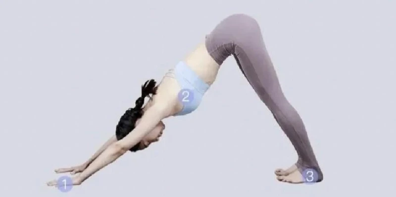 Photo/小紅書 Photo/小紅書