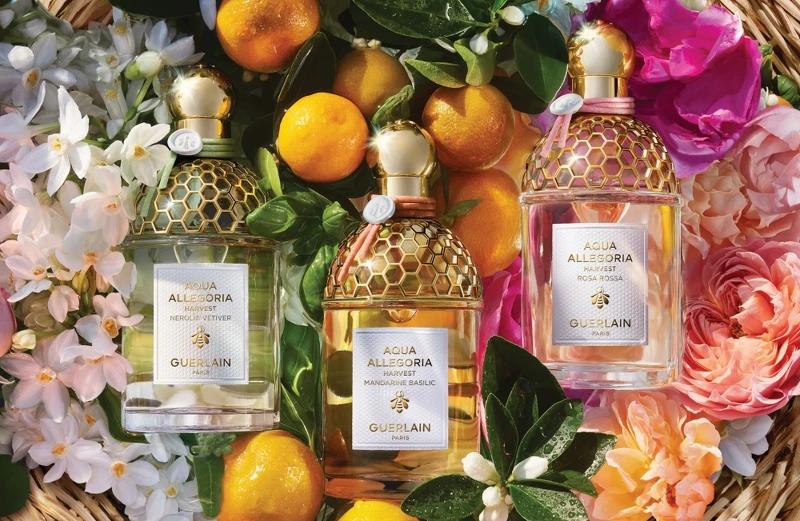 嬌蘭花草水語淡香水盛採限定版視覺圖。 嬌蘭花草水語淡香水盛採限定版視覺圖。