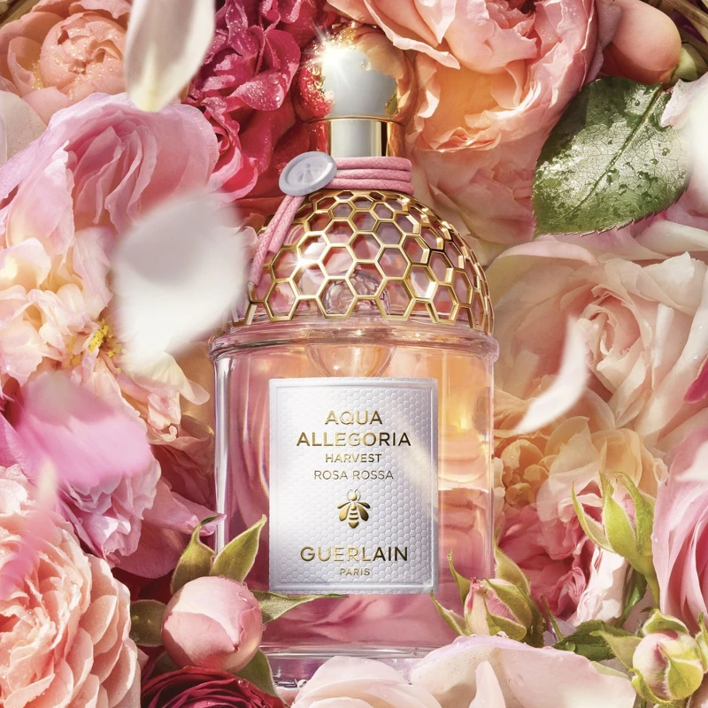 嬌蘭花草水語格拉斯玫瑰與黑醋栗淡香水盛採限定版125ml,NT6,370 嬌蘭花草水語格拉斯玫瑰與黑醋栗淡香水盛採限定版125ml,NT6,370